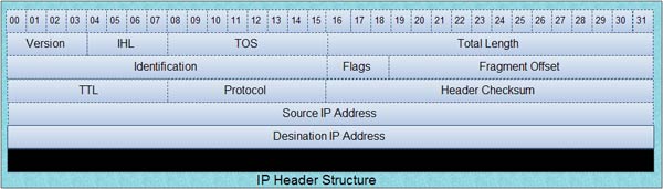 IP Header Structure