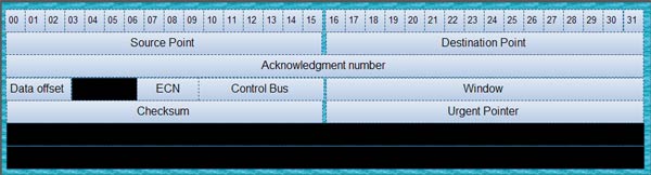 TCP Header Structure