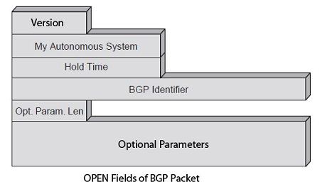 OPEN fields of BGP packet