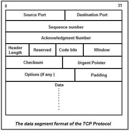 Data Segement Format of the TCP Protocol