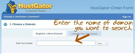 Buy a Domain and Hosting