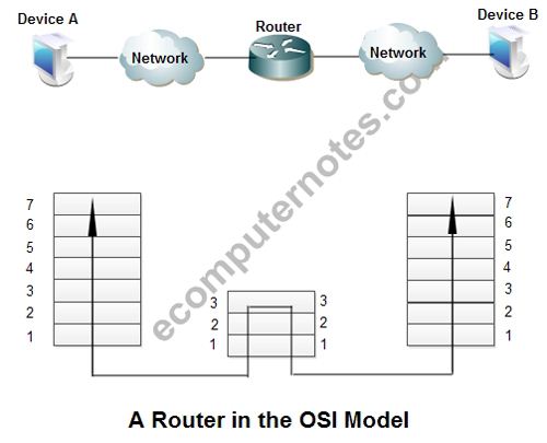 A Router in the OSI Model