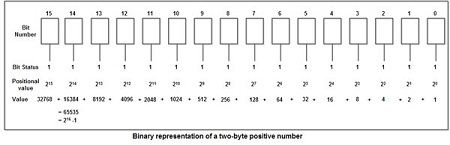 Binary representation of a two-byte positive number