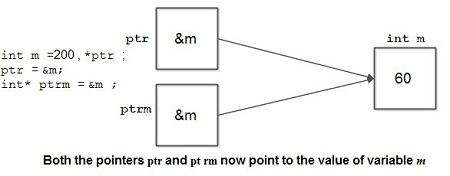 Both the pointers ptr and pt rm now point to the value of variable m