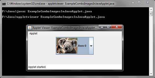 Image in JCombox Java Swing Example