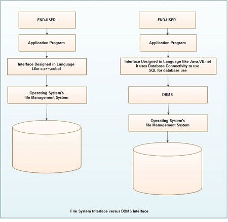 File System interace versus DBMS interface