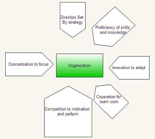 Forces that Shape an Organization