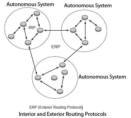 Interior and exterior routing protocols