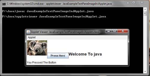 Swing - Show image in JTextPane Java Example