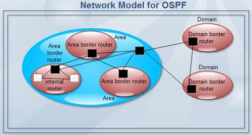 Network Model for OSPF