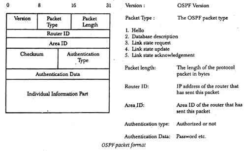 OSPF Packet Format