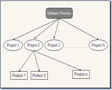 Process Projects and Products