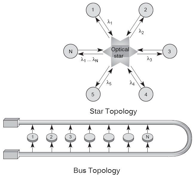 Star and Bus topology