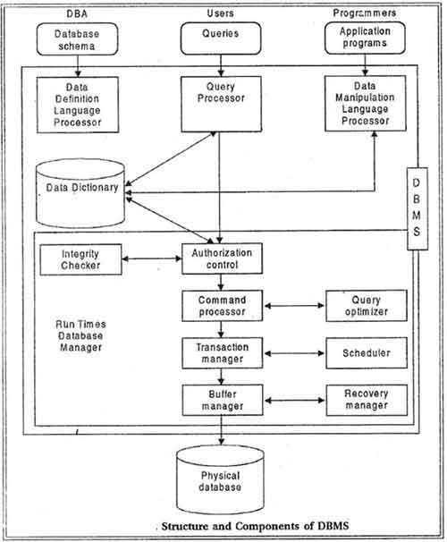 Structure and Components of DBMS