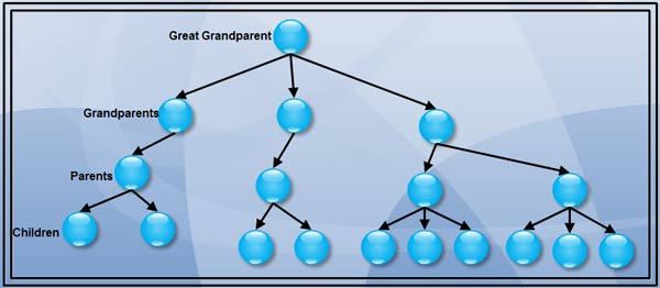 Structure of a Family Hierarchical
