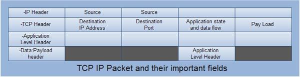 TCP-IP Packet and their important Fields