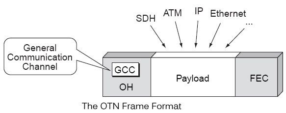 The OTN frame format