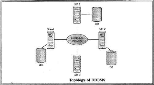 topology of ddbms